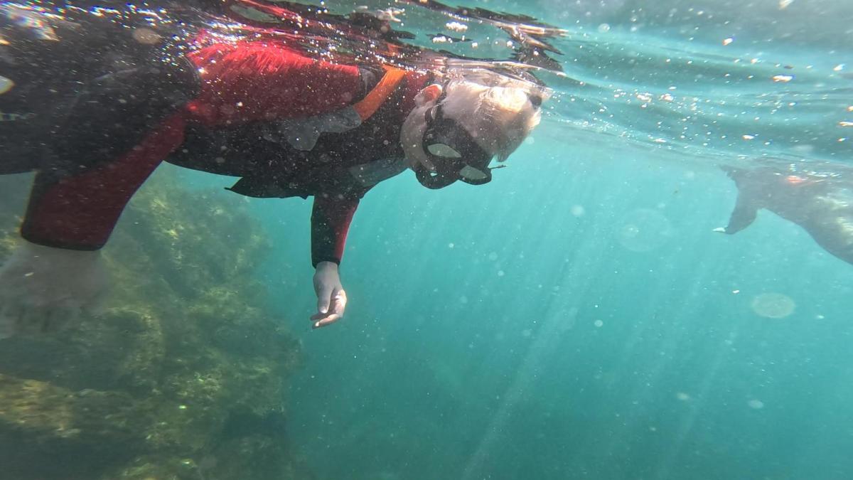 una donna immersa nell'acqua che guarda uno squalo