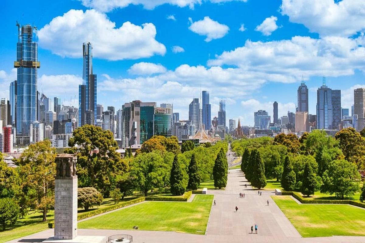 a park with trees and a city in the background