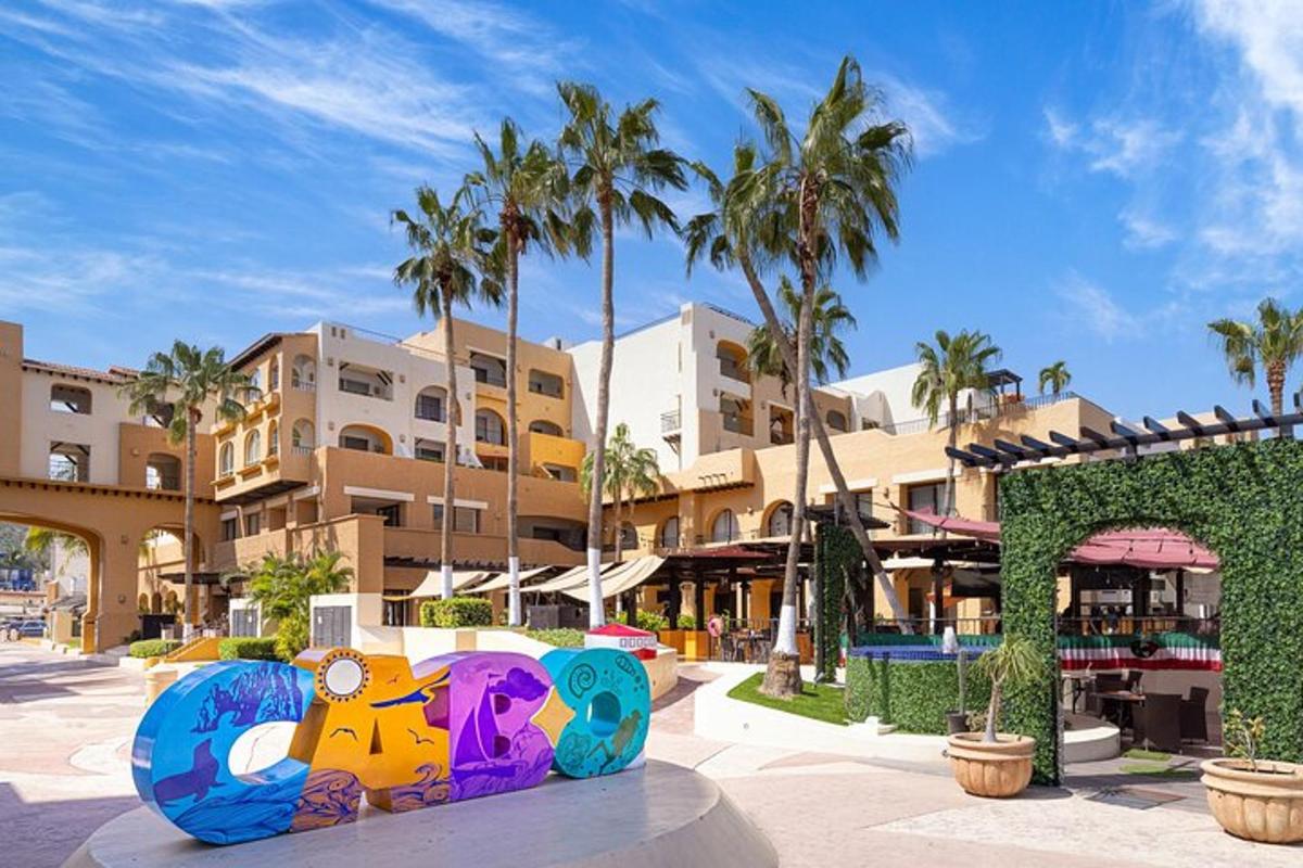 a resort with a skate park with palm trees