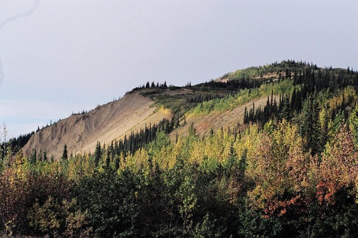 a hill with trees on top of it