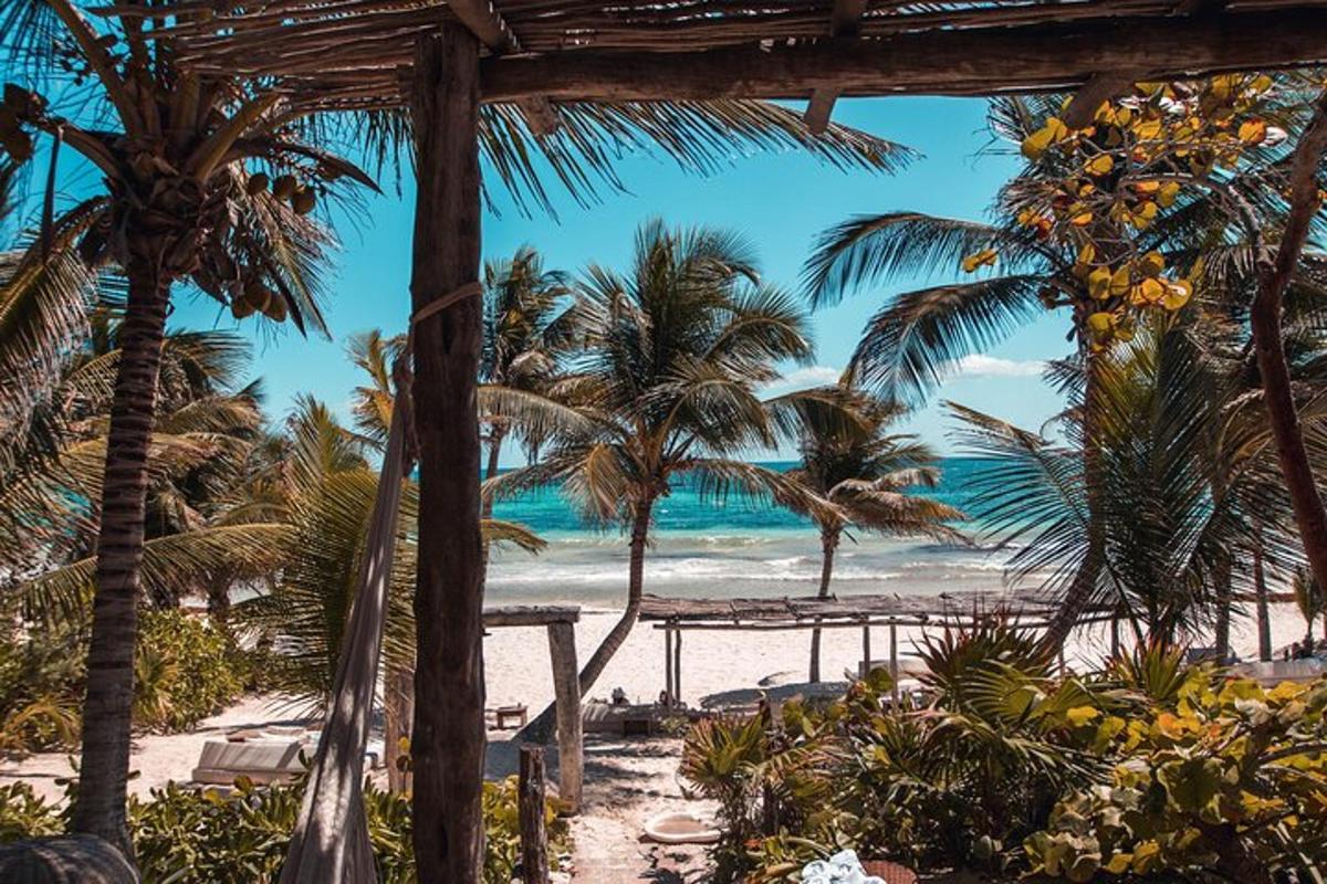 pemandangan pantai dengan pokok palma dan lautan