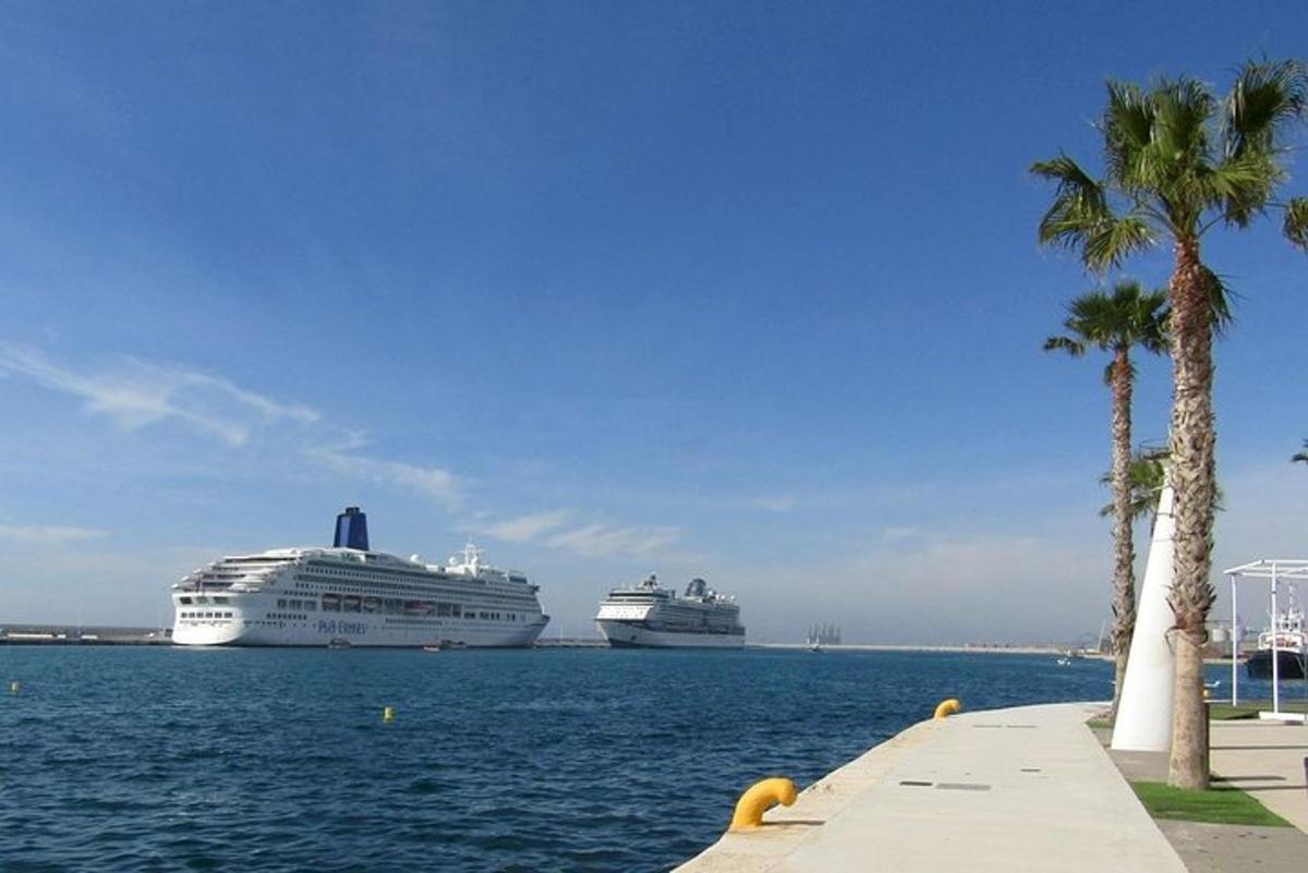 Δύο κρουαζιερόπλοια αγκυροβολημένα στο νερό με φοίνικες