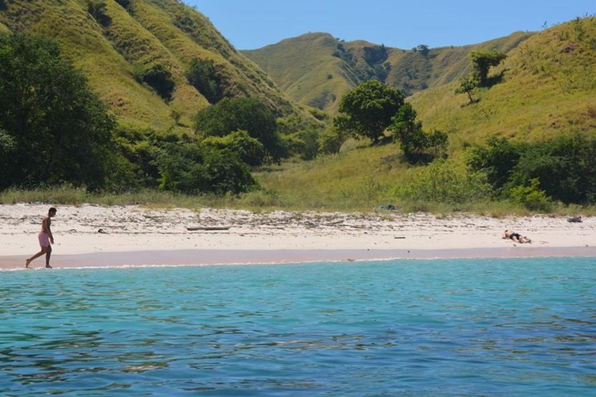 una persona che cammina sulla spiaggia con un cane