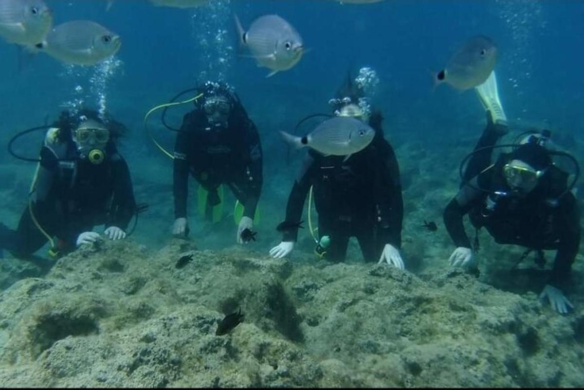 un grup de oameni care înoată în ocean