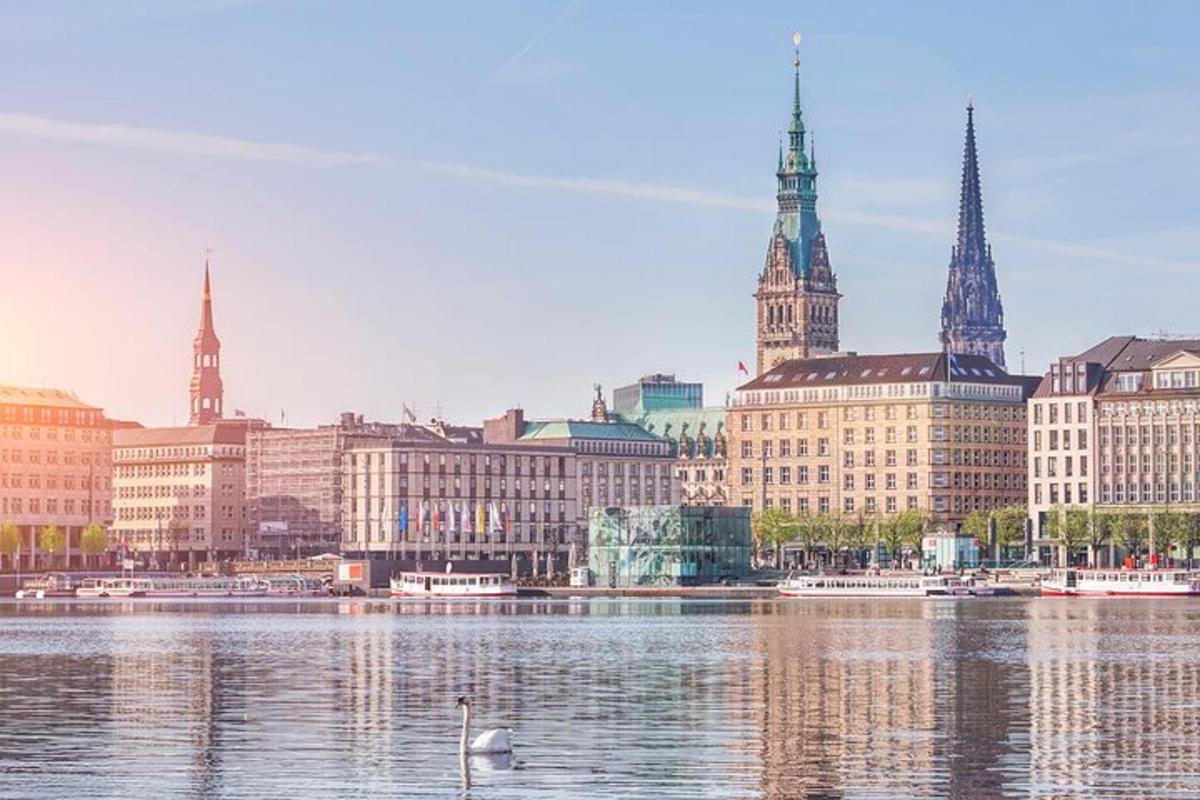 a city with buildings and a river with a swan