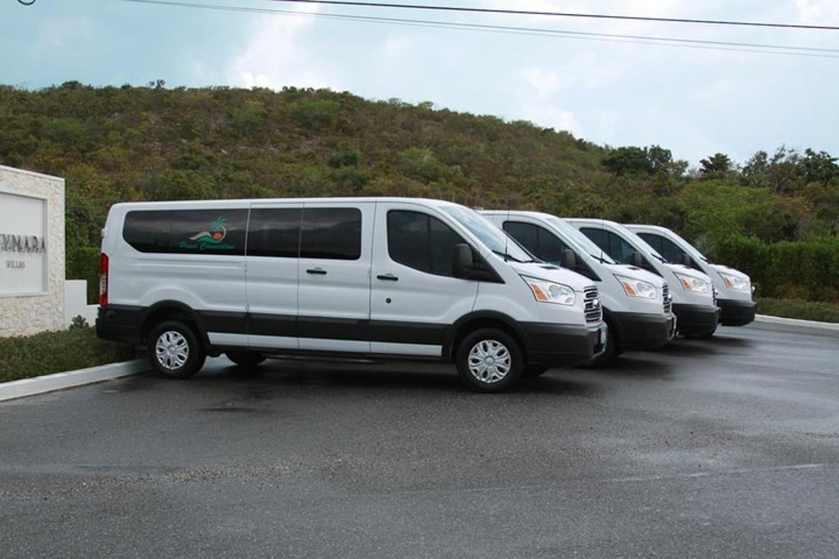 bir otoparkta park edilmiş bir sıra minibüs