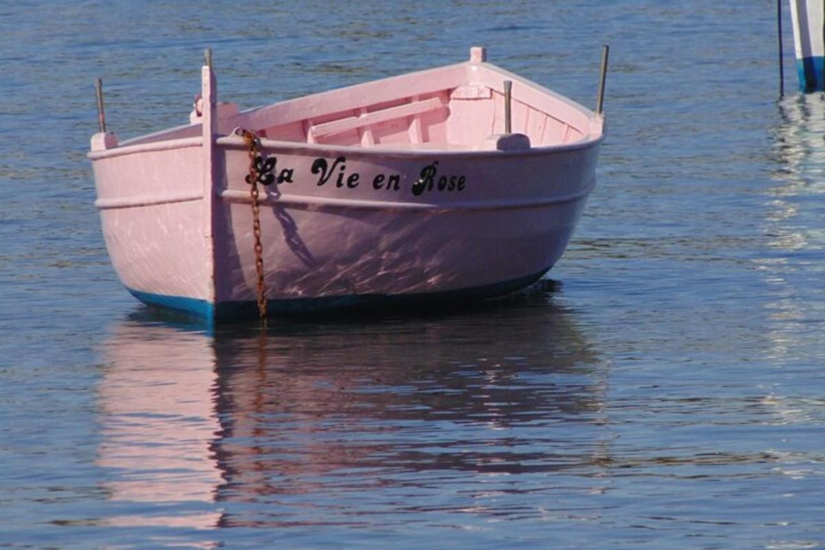 μια ροζ βάρκα κάθεται στο νερό