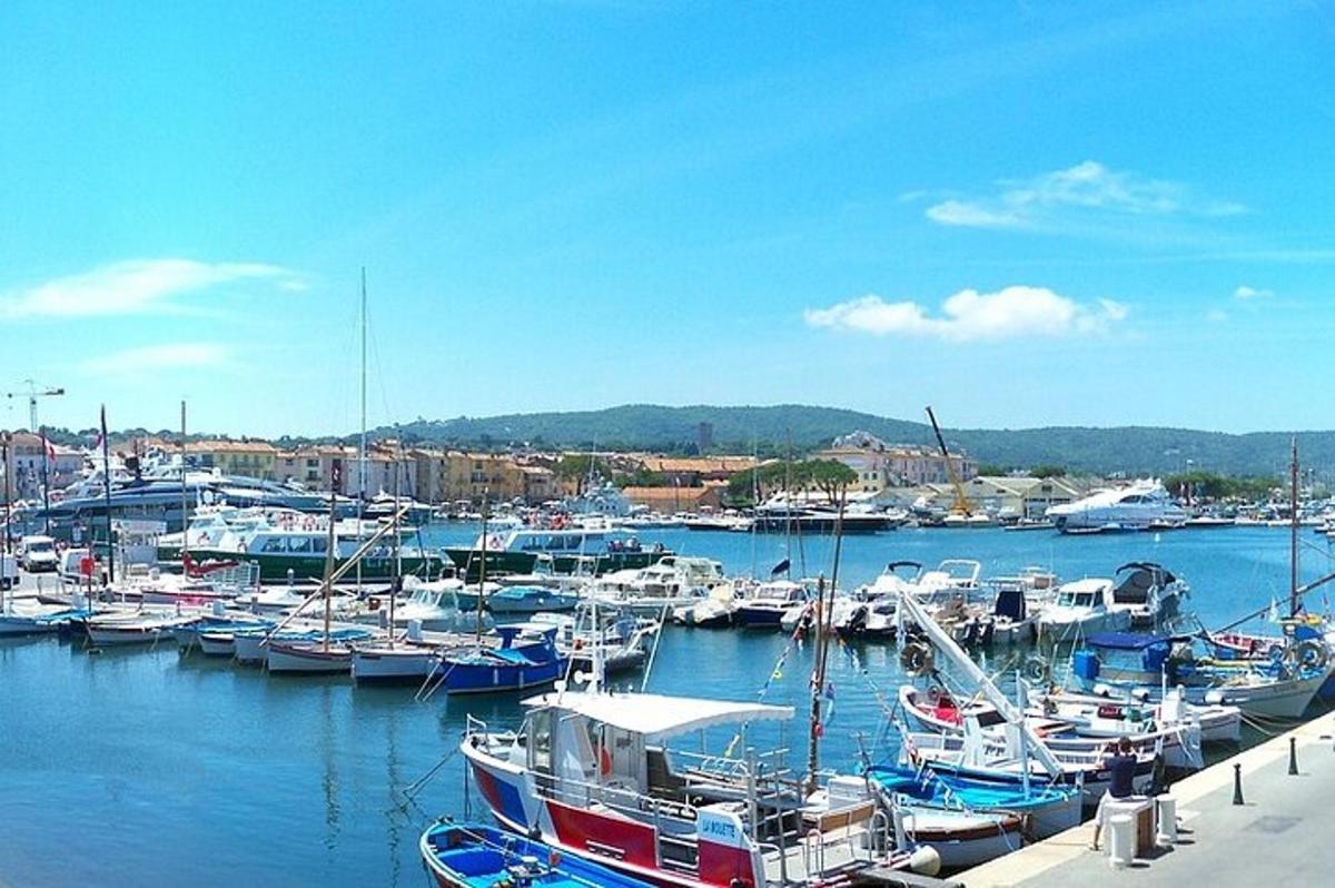 o grămadă de bărci sunt acostate într-un port