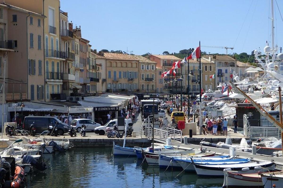 un grup de bărci sunt acostate într-un port de agrement