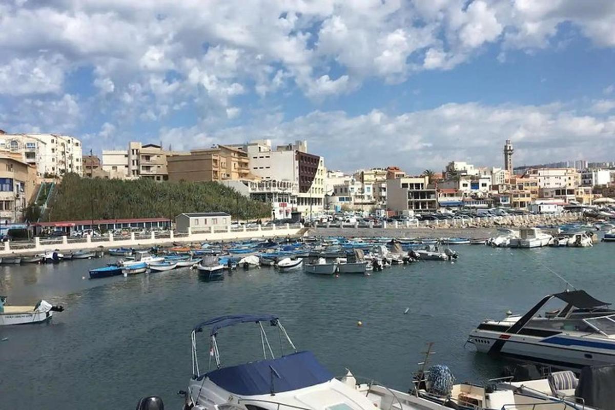 Un grupo de barcos atracados en un puerto con edificios.