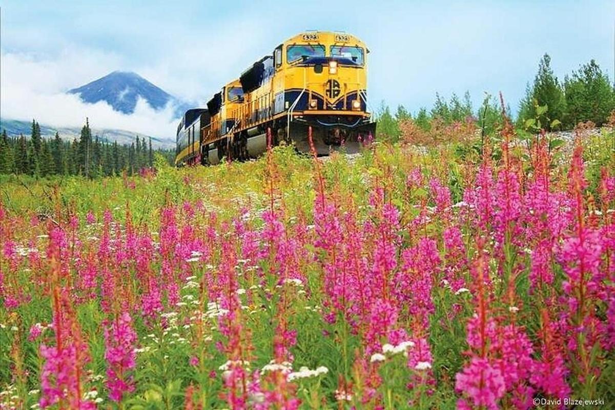 um trem amarelo viajando por um campo de flores