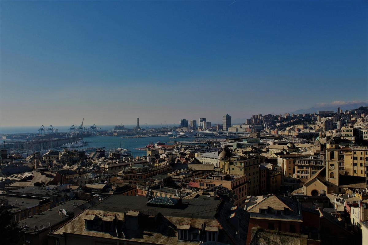 a view of a city with buildings and a harbor