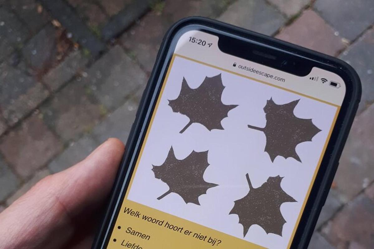 una mano che tiene un telefono cellulare con un adesivo a forma di foglia d'acero sopra