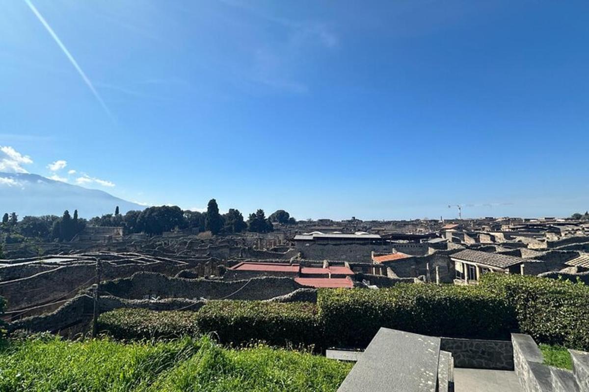 a view of a city with houses and buildings