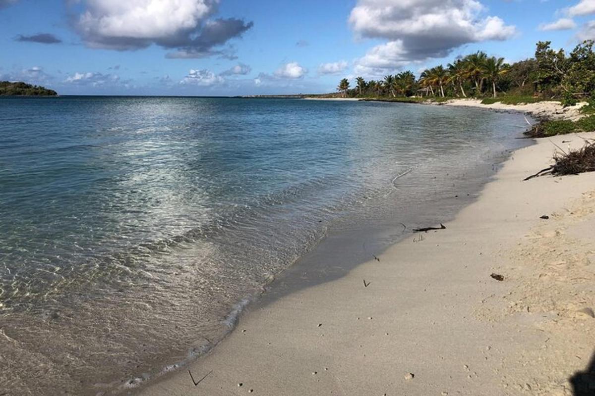 a beach with the ocean and trees in the background