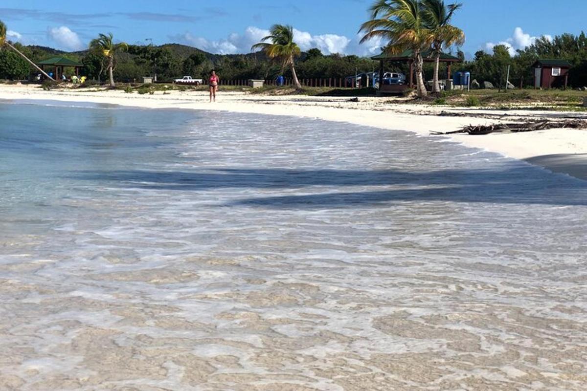 a beach with a person standing in the water