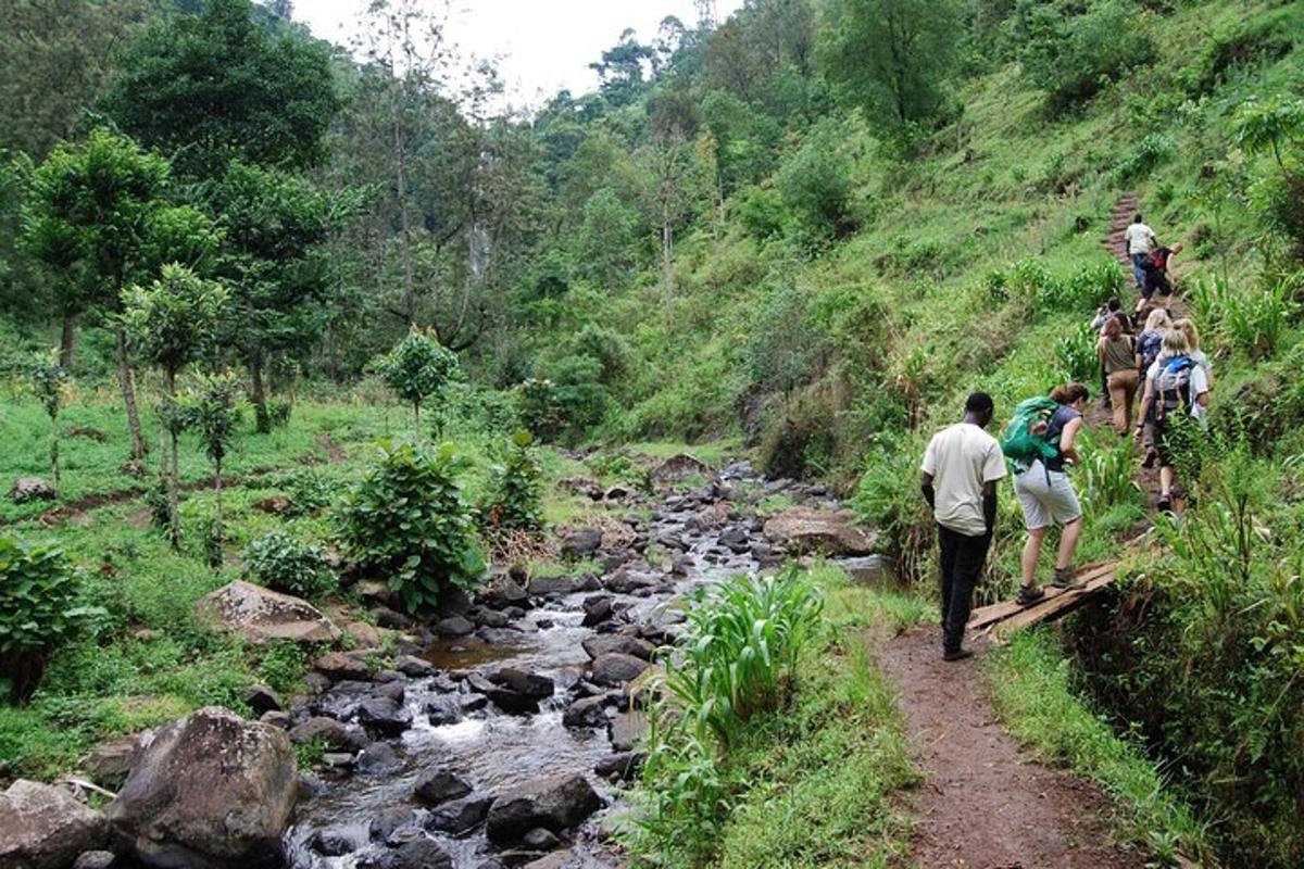 isang grupo ng mga taong naglalakad sa isang trail malapit sa isang ilog
