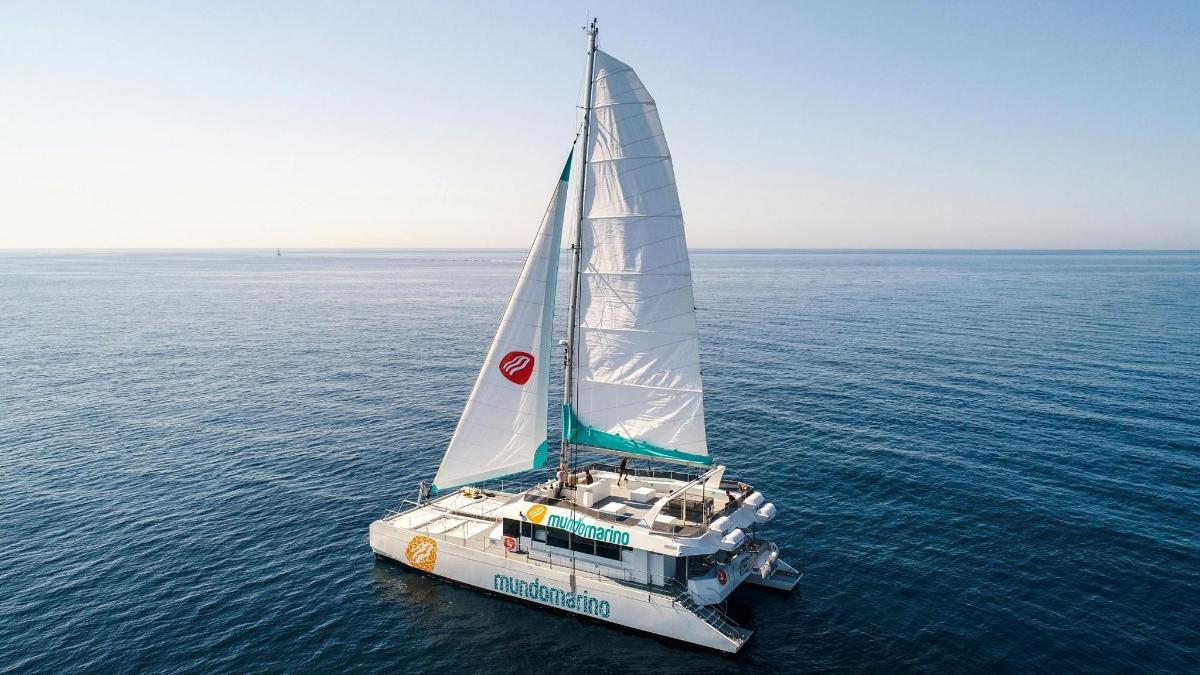 a white sailboat in the ocean on the water
