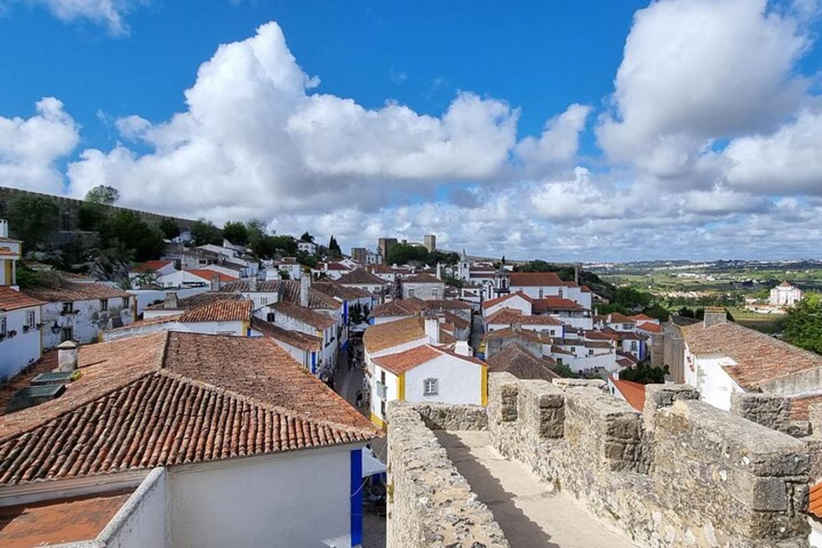 Una vista de un pueblo con casas y tejados.