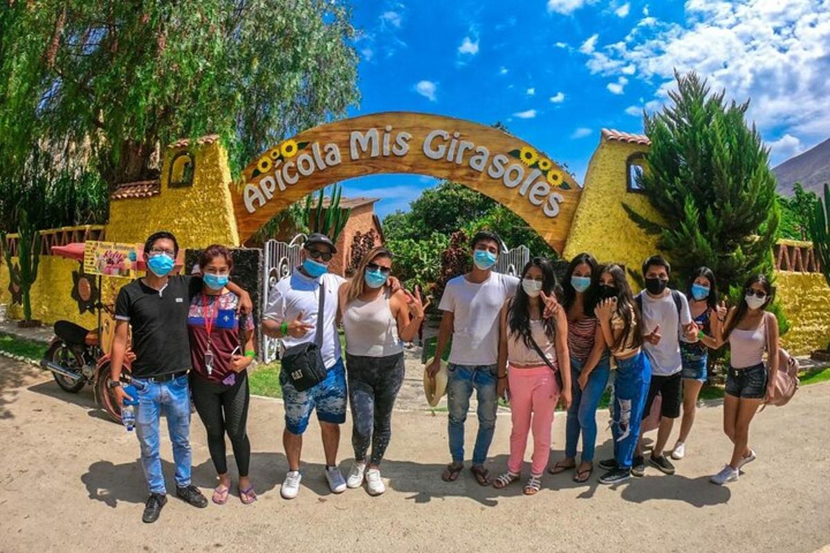 um grupo de pessoas usando máscaras em frente a uma placa da Disney