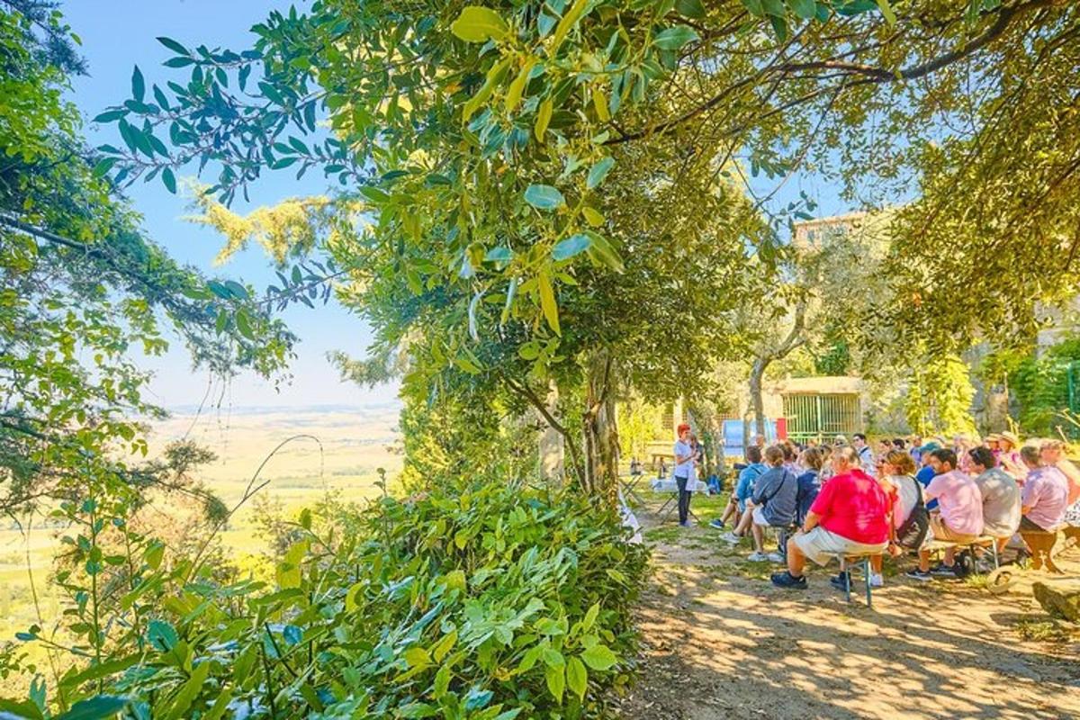 skupina lidí sedících na židlích pod stromy