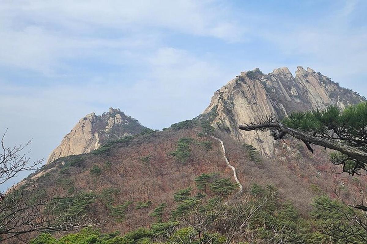 투어 액티비티 사진 4번