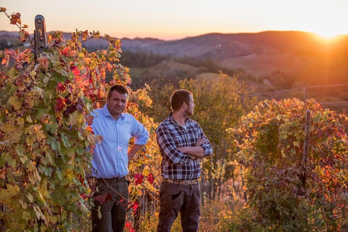 two men standing in a vineyard in the sunset