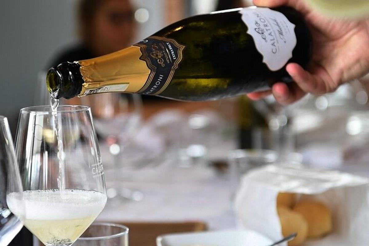 a person pouring a bottle of wine into a glass