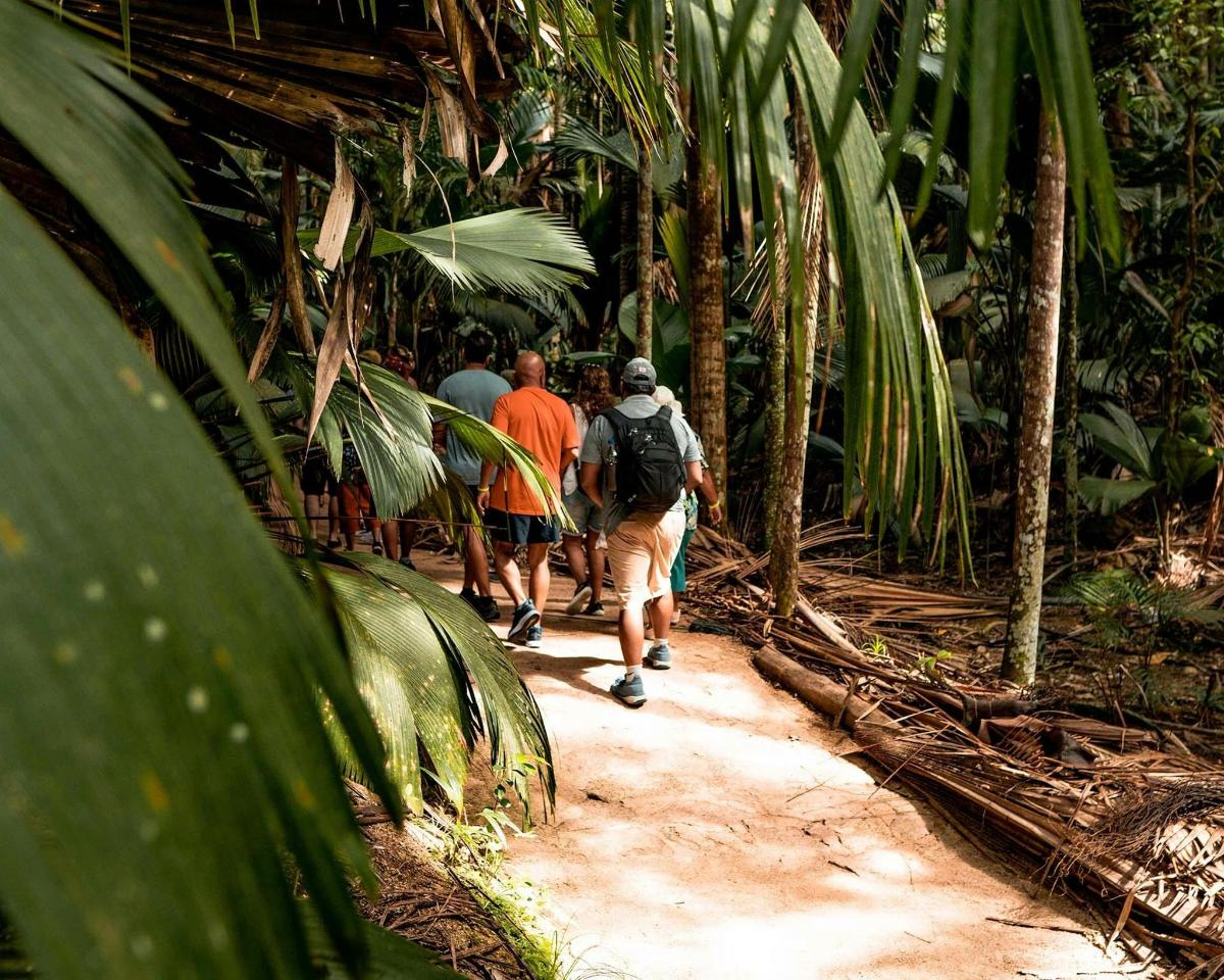 a group of people walking down a path in the jungle