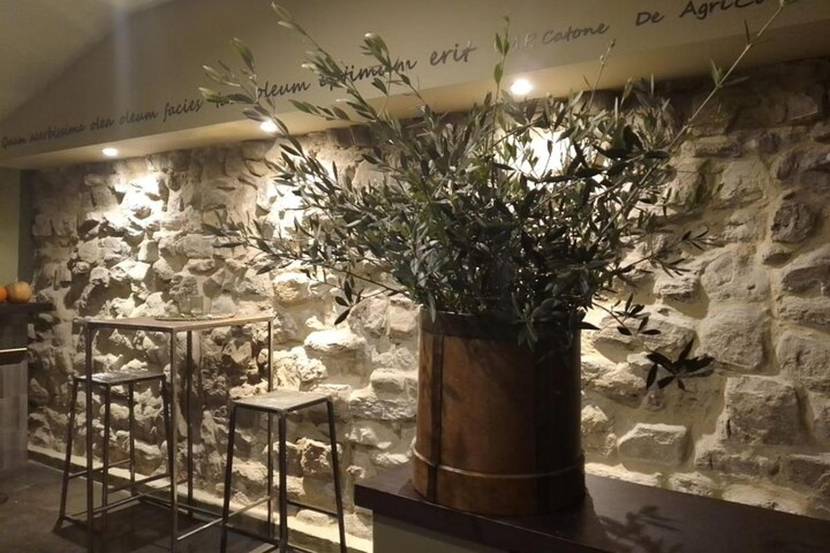 石墙上有一个大花瓶，花瓶里种着一株植物