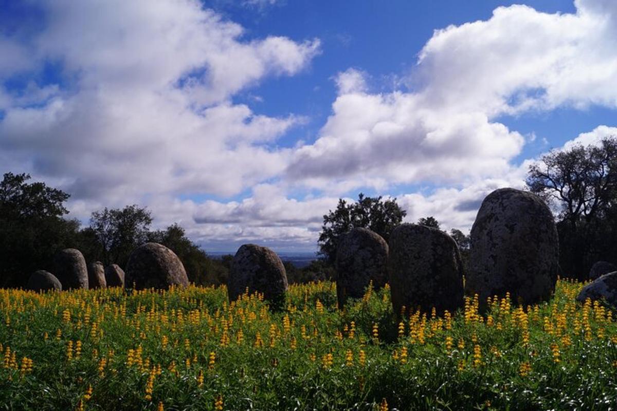 a field with a bunch of round rocks in a field