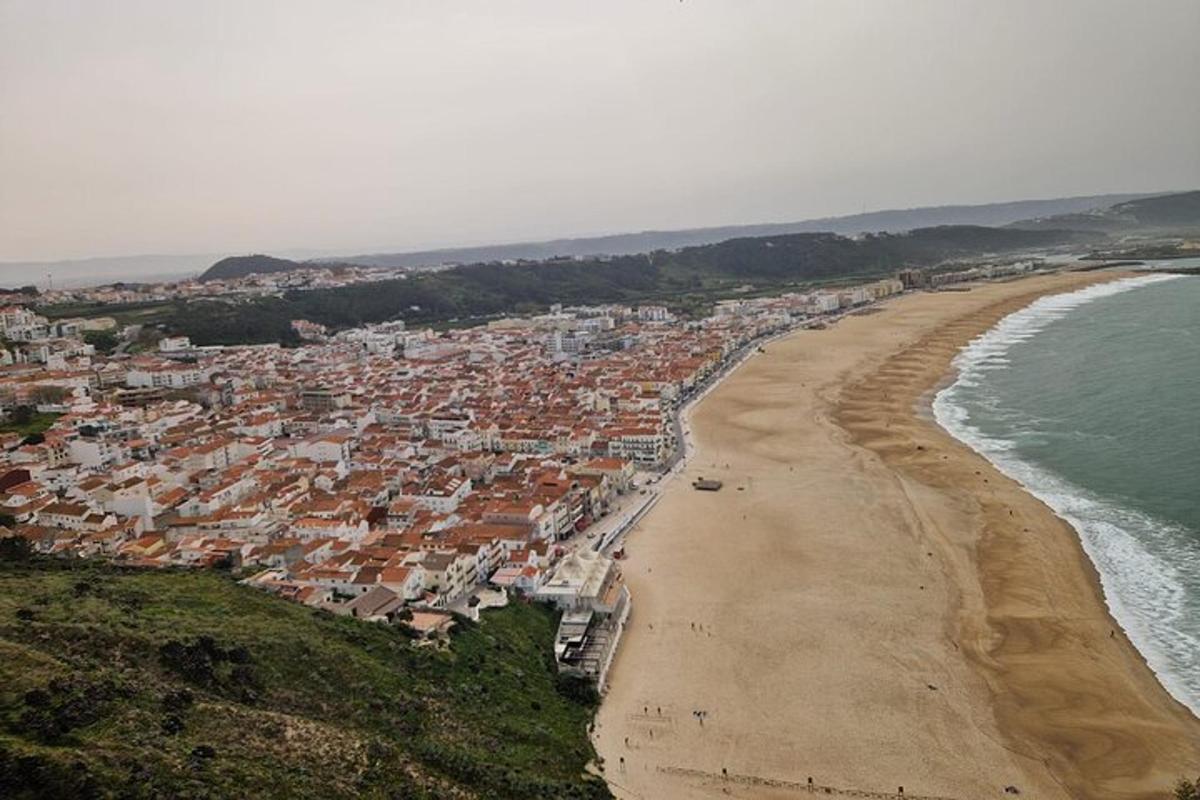 an aerial view of a beach and the ocean