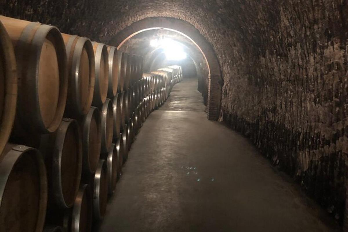 tunnel hunniku veinitünnidega