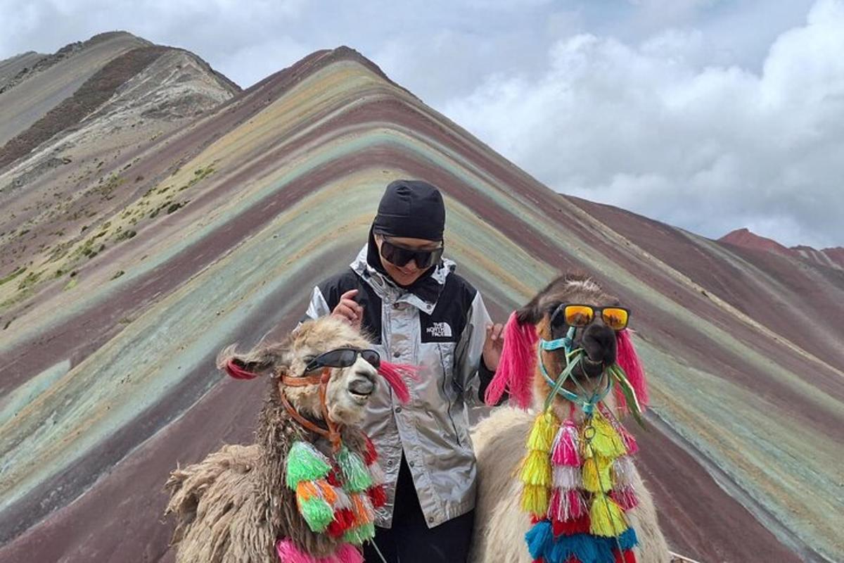 a man standing next to two llamas in front of a mountain