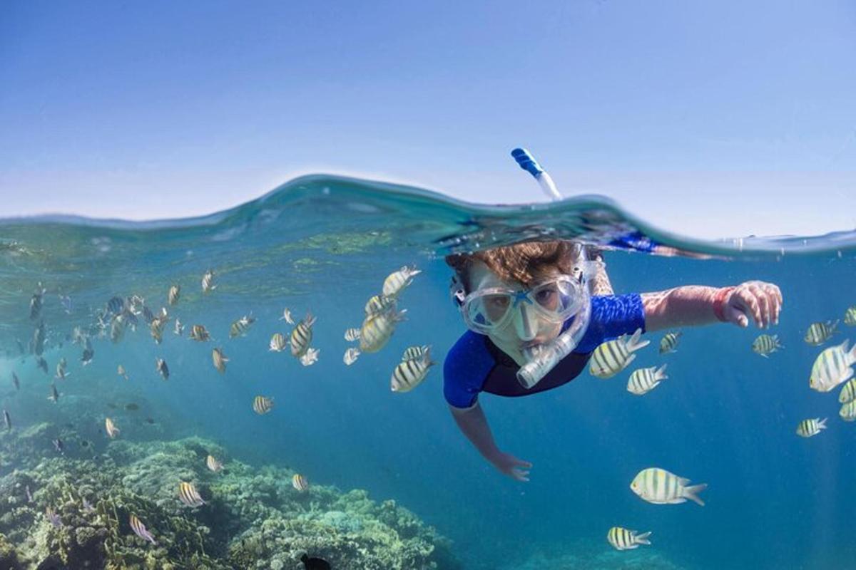 uma pessoa com máscara nadando no oceano com peixes