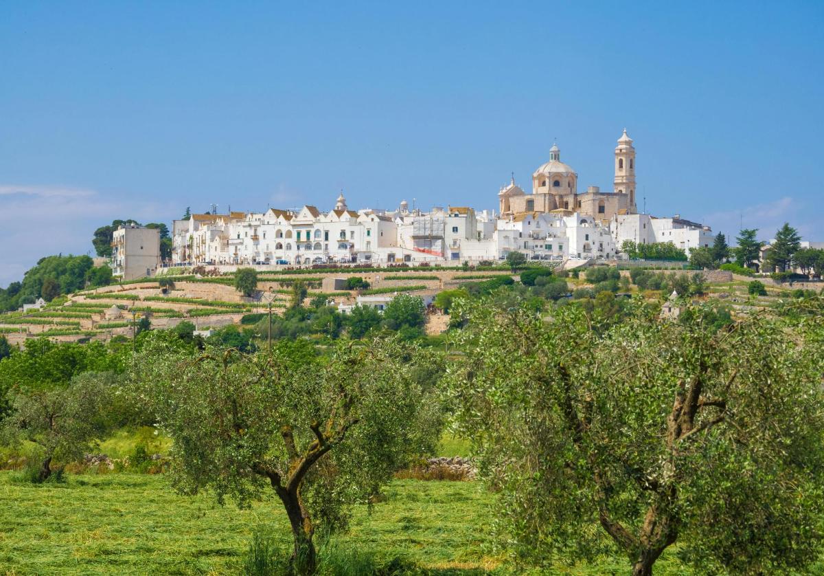 a village on top of a hill with trees