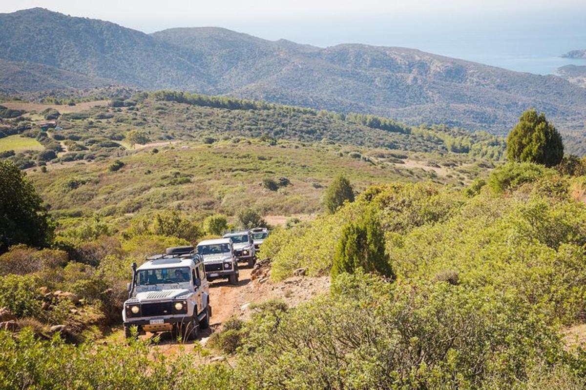a group of cars parked on a dirt road