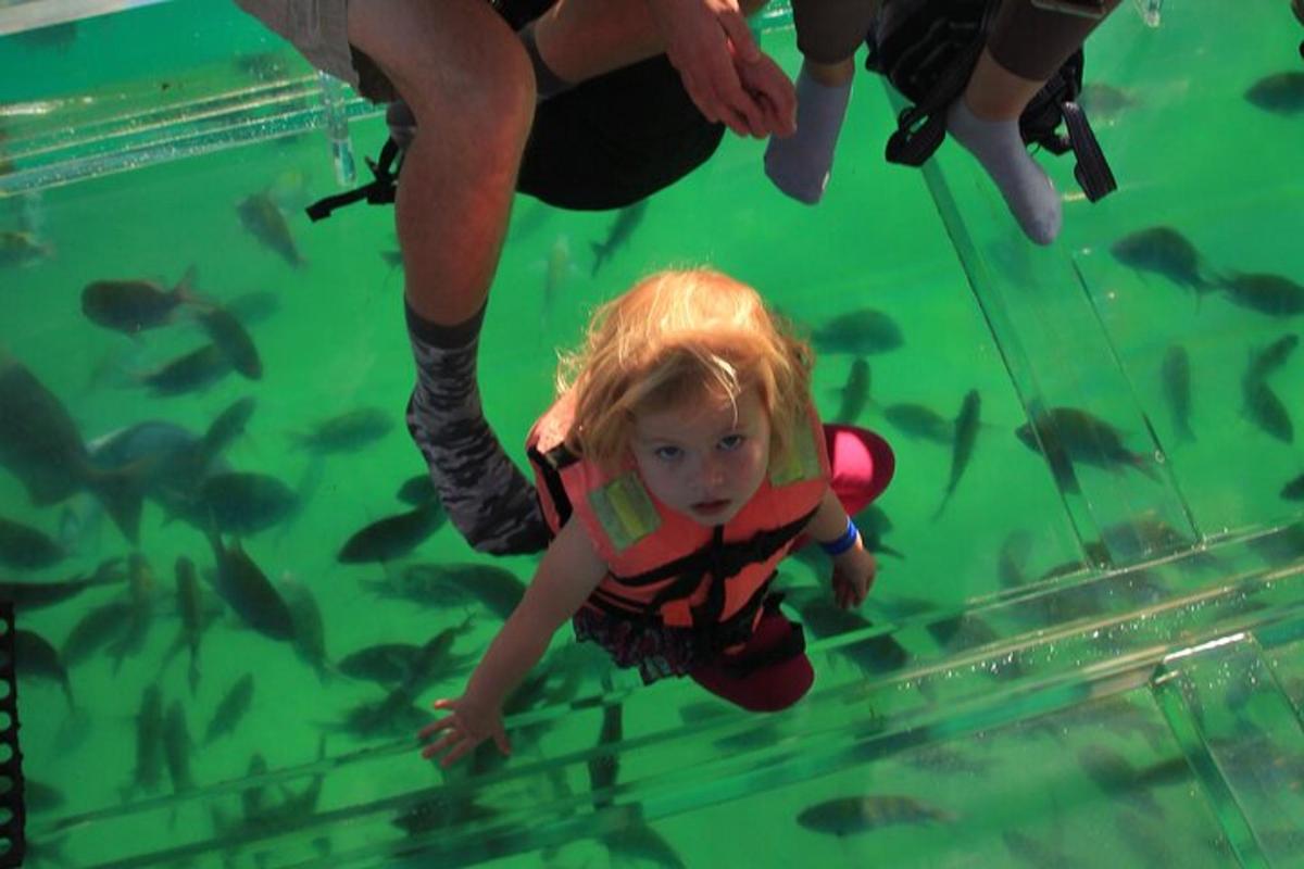 una bambina nell'acqua in una piscina di pesci