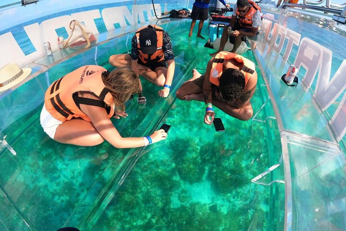 un gruppo di persone che nuotano in una piscina