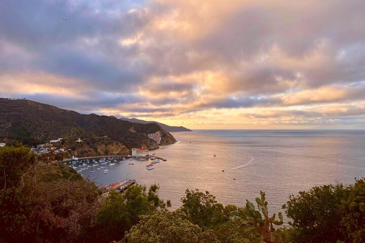 uma vista de uma baía com barcos na água