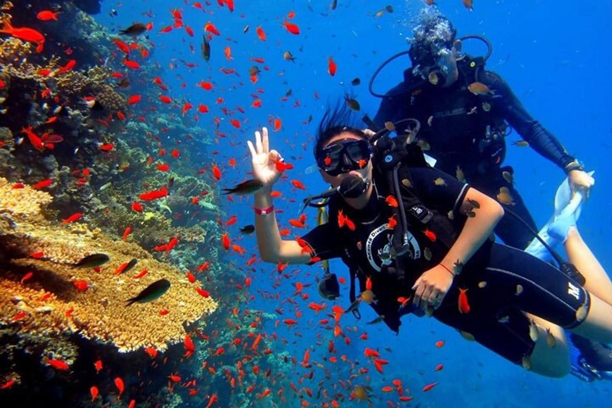 due persone che fanno immersioni subacquee di fronte a una barriera corallina
