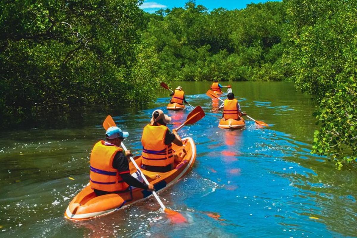 a group of people in kayaks on a river