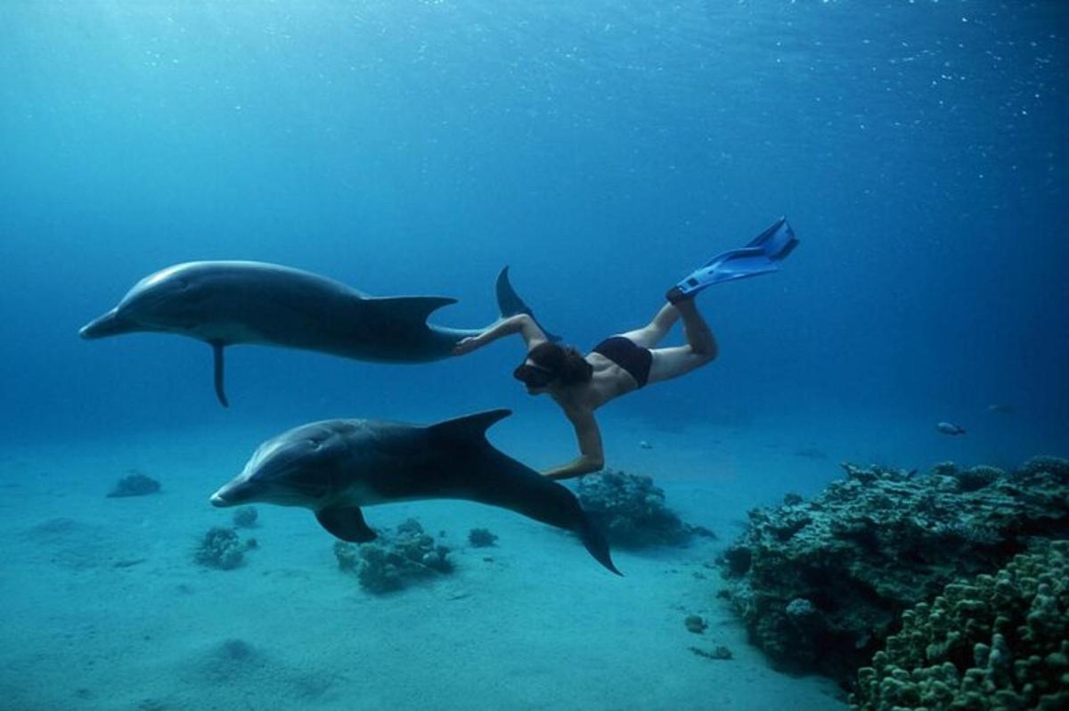 osoba plavající v oceánu se dvěma delfíny