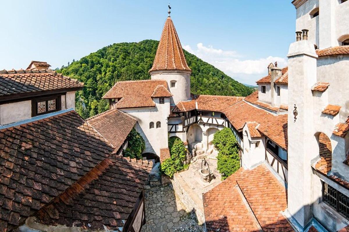 a view of a castle from the roofs of buildings