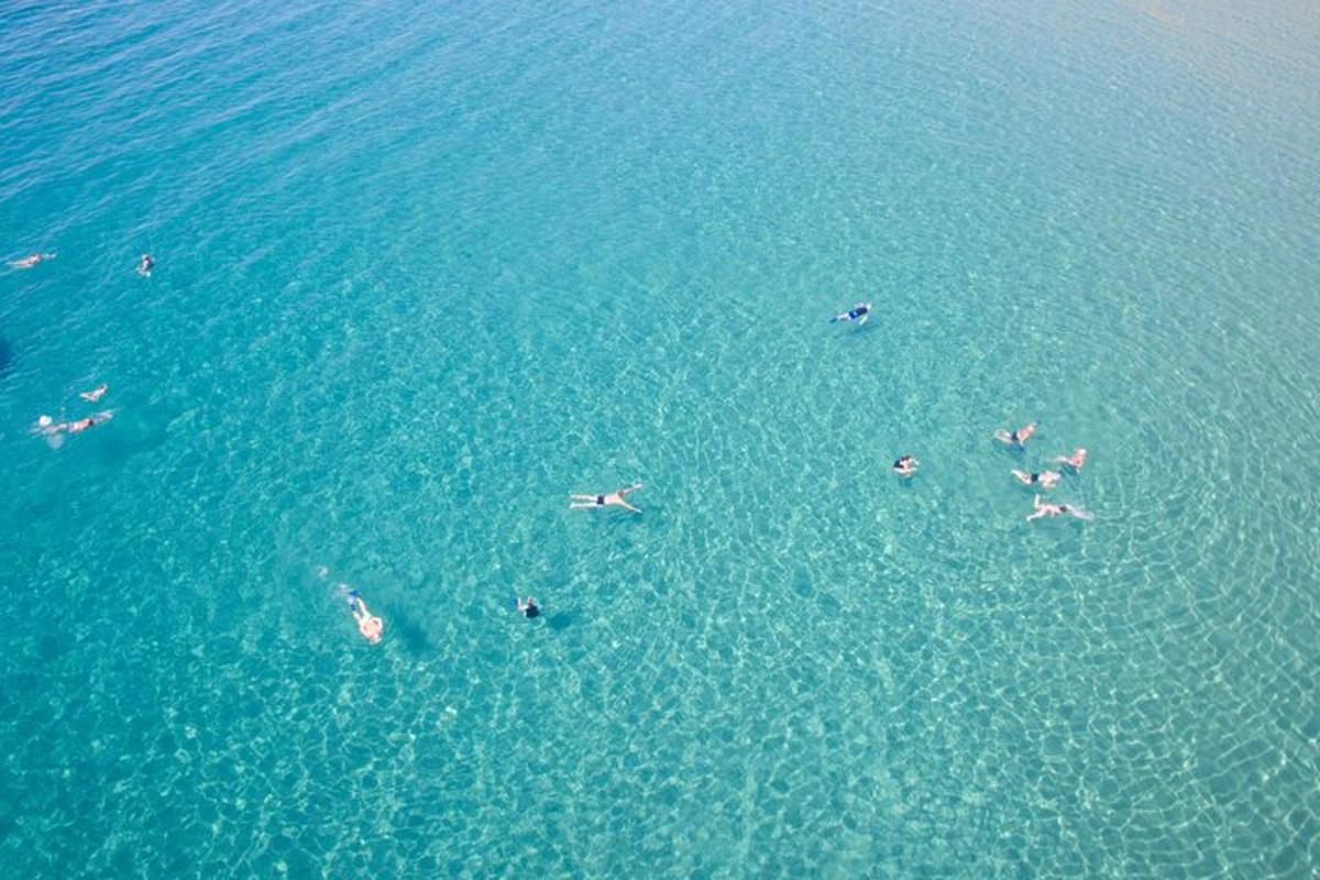 a group of people swimming in the water