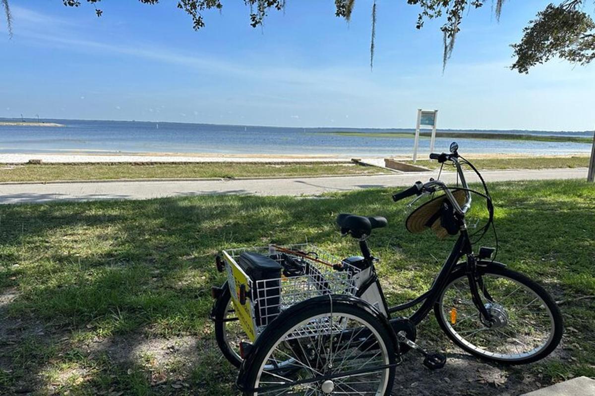 una bicicletta parcheggiata sull'erba vicino a una spiaggia