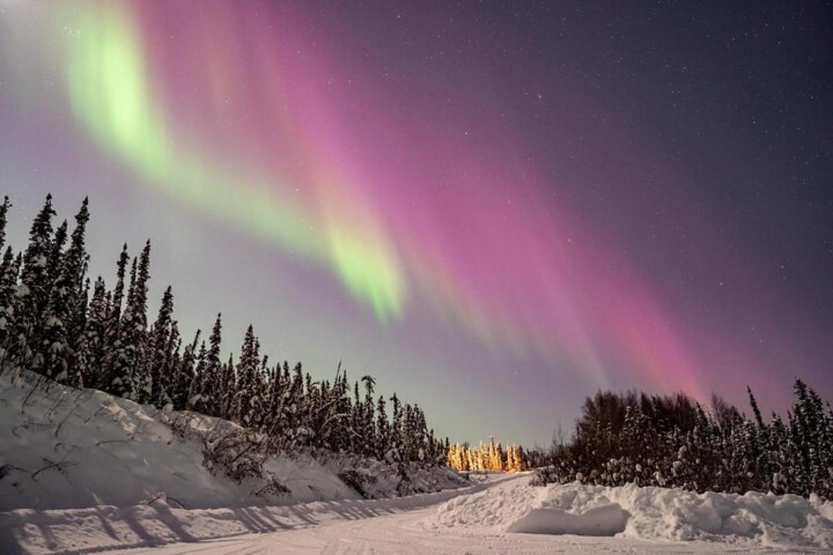un'aurora nel cielo sopra una strada innevata con alberi