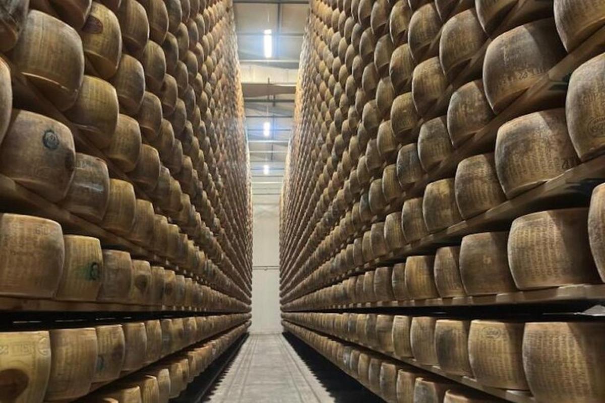 μια σειρά από βαρέλια κρασιού σε μια κάβα κρασιού