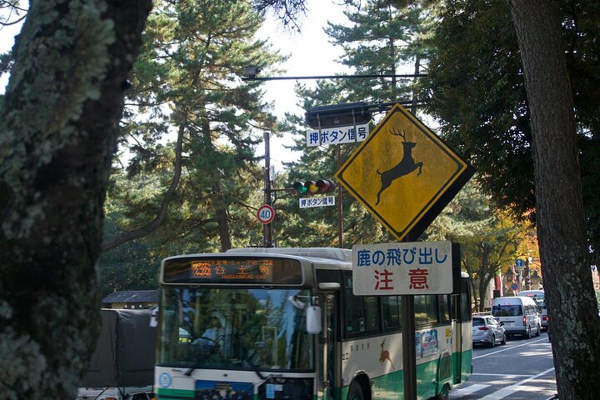 um ônibus urbano circulando por uma rua com uma placa
