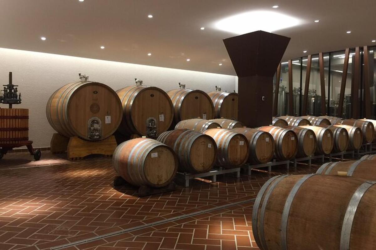 uma fileira de barris de vinho de madeira em uma sala
